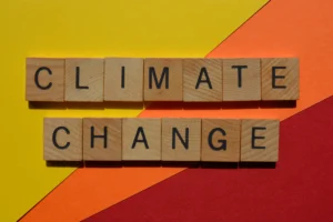 impact of climate change on currency markets
