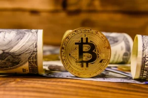 A golden Bitcoin coin standing upright between rolled US dollar bills on a wooden surface.